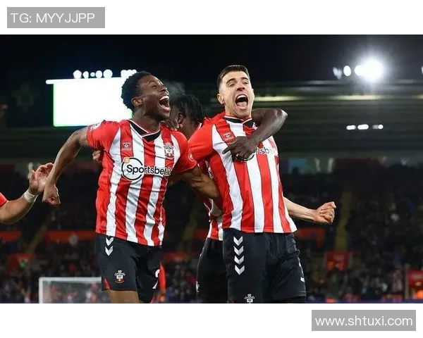 南安普敦与纽卡斯尔对决前瞻及比分预测分析