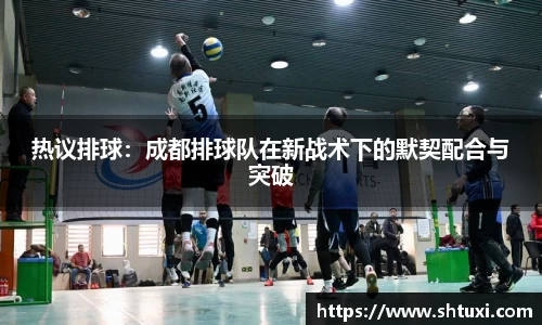 热议排球：成都排球队在新战术下的默契配合与突破