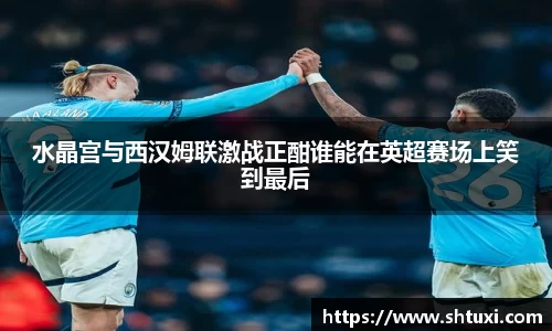 水晶宫与西汉姆联激战正酣谁能在英超赛场上笑到最后