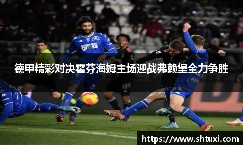 德甲精彩对决霍芬海姆主场迎战弗赖堡全力争胜
